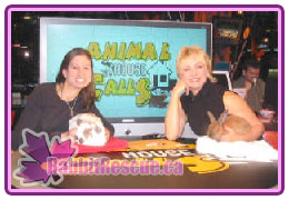 Our last appearance on Animal House Calls. A CP24 show dedicated to providing Ontario viewers information about animals in our area! Watch them on CP24 and look for us!