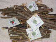 branches.jpg