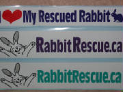 bumperstickers.jpg