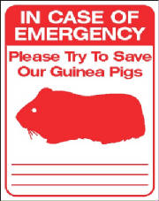 emergencygpig.jpg