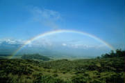 rainbow.jpg
