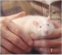 wilbur.jpg